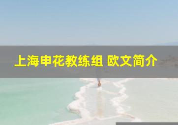 上海申花教练组 欧文简介